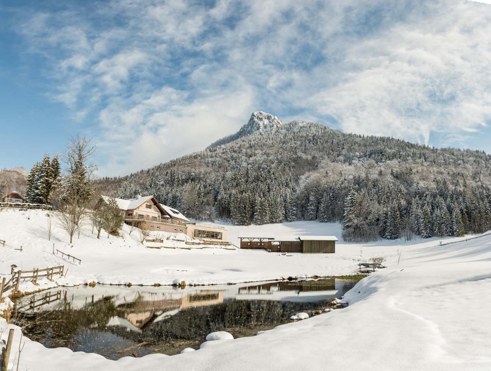 Waldhof Fuschlsee Resort Fuschl am See Εξωτερικό φωτογραφία